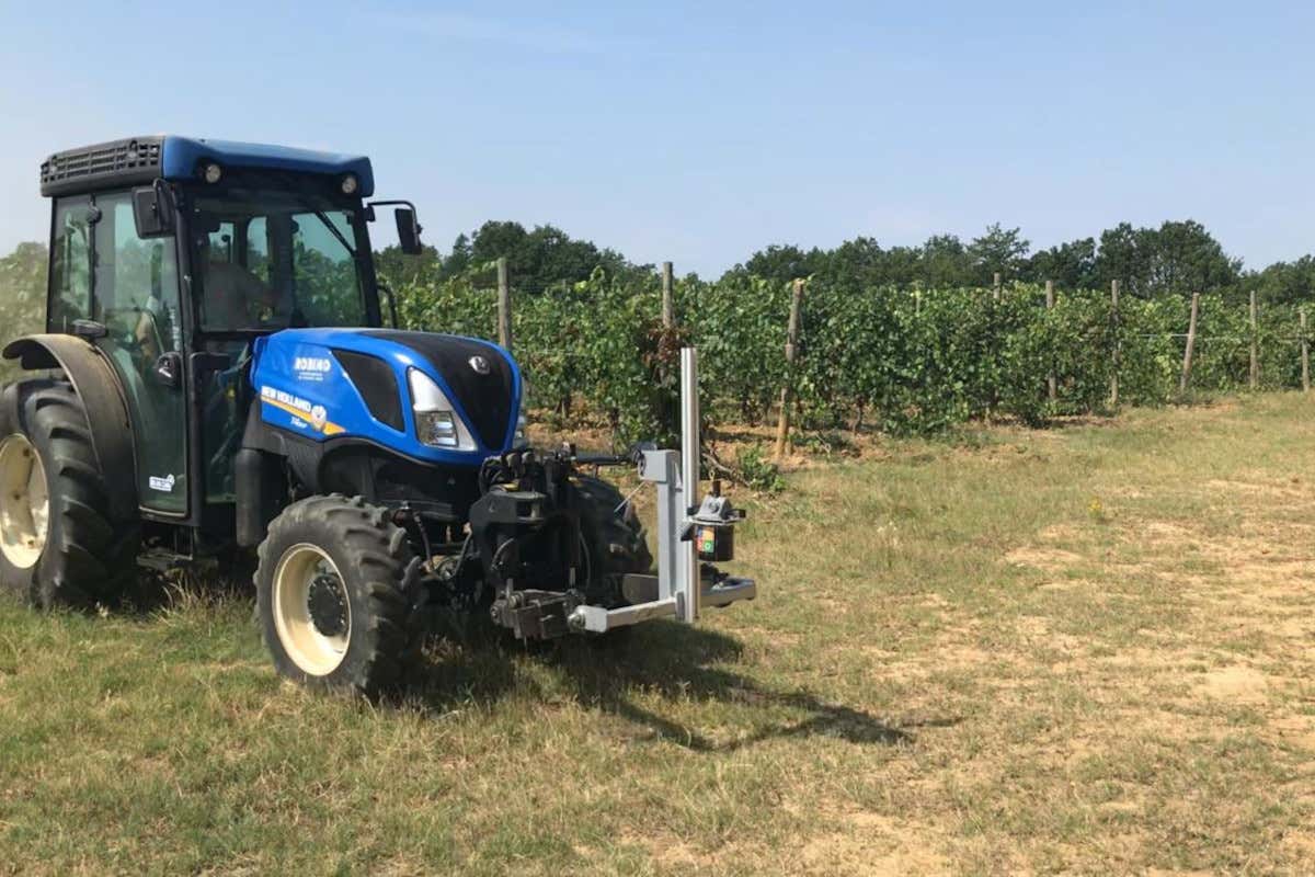InVigna, così l’Oltrepò pavese risponde al clima che cambia