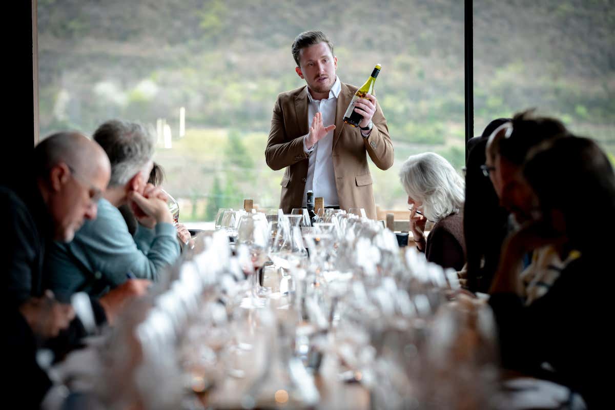 Caldaro, la Schiava torna al centro con il rilancio del territorio