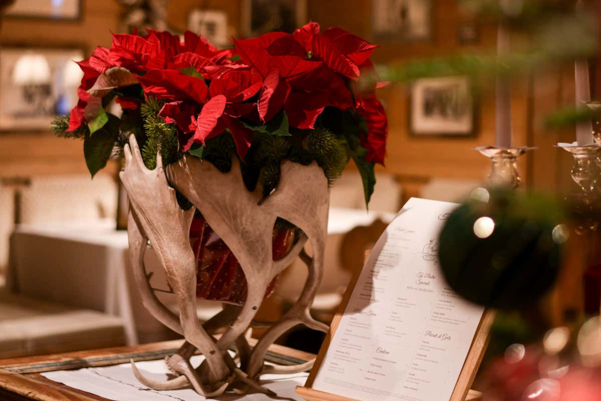 Stella di Natale, il gran ritorno che scalda gli ambienti: idee scenografiche per hotel e ristoranti Stella di Natale, il gran ritorno che scalda gli ambienti: idee scenografiche per hotel e ristoranti