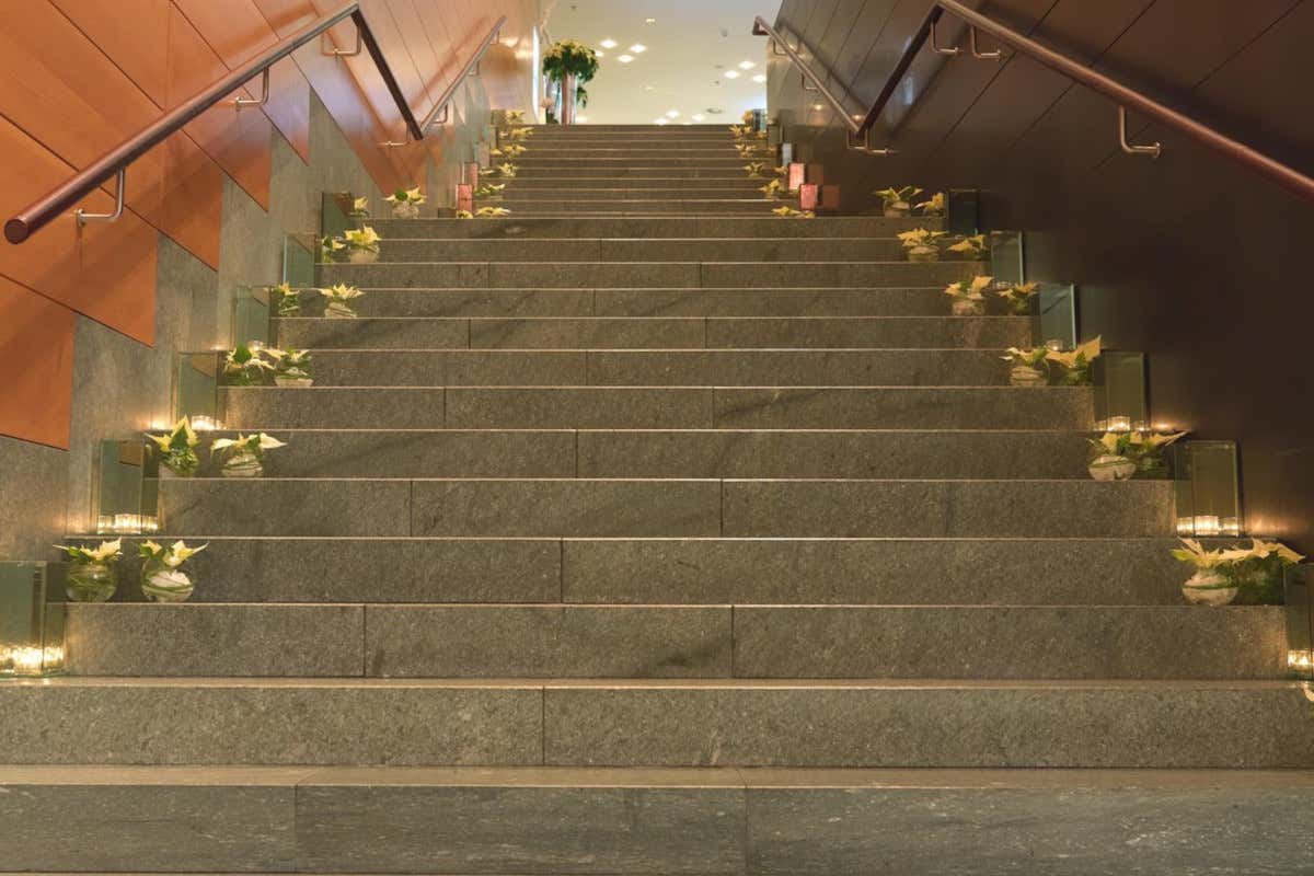 Stella di Natale, il gran ritorno che scalda gli ambienti: idee scenografiche per hotel e ristoranti Stella di Natale, il gran ritorno che scalda gli ambienti: idee scenografiche per hotel e ristoranti