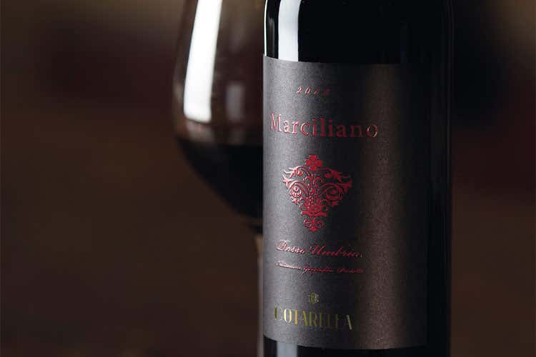 Marciliano 2017 Famiglia Cotarella