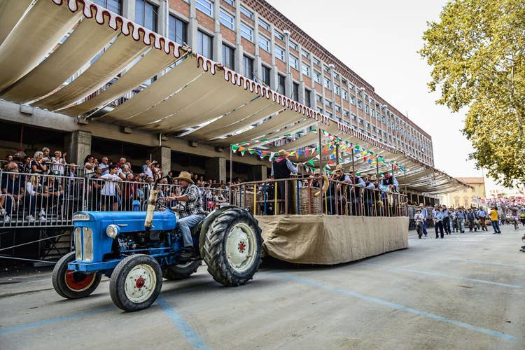 (Festival delle Sagre Astigiane Sfilate, folclore e degustazioni)