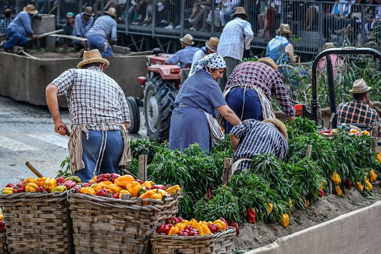 (Festival delle Sagre Astigiane Sfilate, folclore e degustazioni)