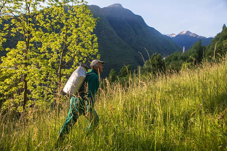 Filiera corta e rilancio del territorio Terra Alta di Valtellina parte da La Fiorida
