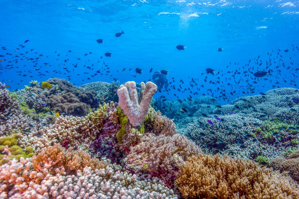 Scopriamo i siti Unesco nelle Filippine da godere tutto l'anno