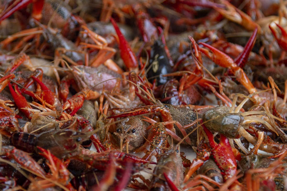 A Lake Charles, nel Sud-Ovest della Louisiana servono i migliori gumbo di gamberi e granchi (Photo Credit: Visit the Usa) Stati Uniti alla scoperta di cinque destinazioni gastronomiche per tutti i gusti