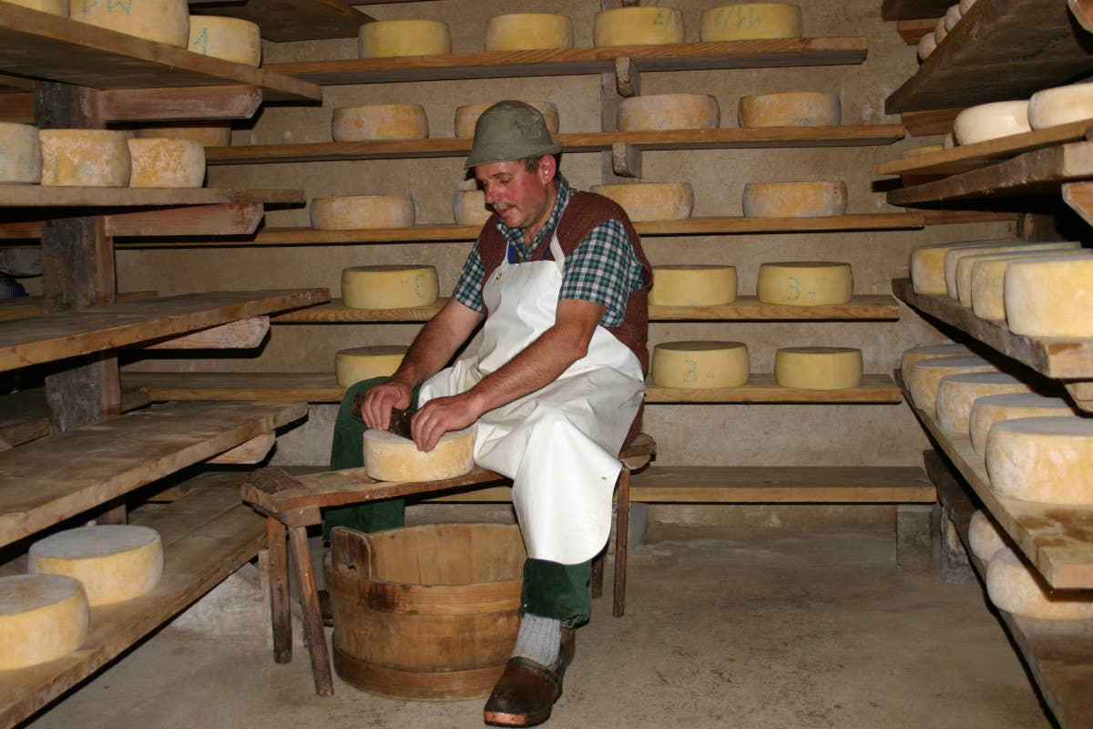 Formaggi tipici. Foto di T. Mochen Appassionato di formaggi? Tutto pronto per il Cheese FestiVal di Sole