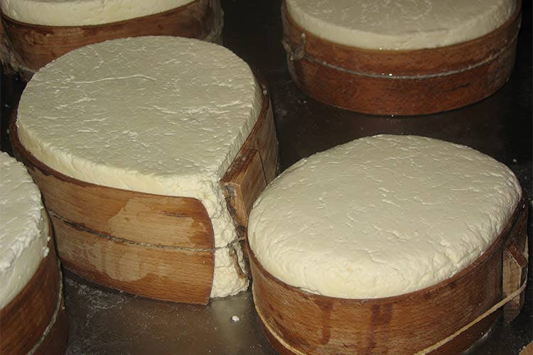 Formaggio in fascera - Il formaggio, una storia iniziata coi viaggi dei nomadi nel deserto