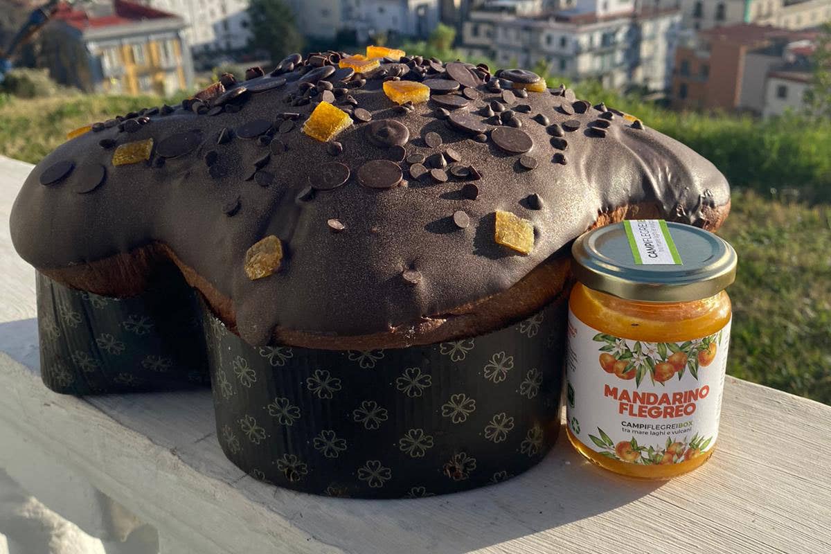 Le Colombe pasquali dei Campi Flegrei Colomba dei Campi Flegrei per una Pasqua made in Napoli