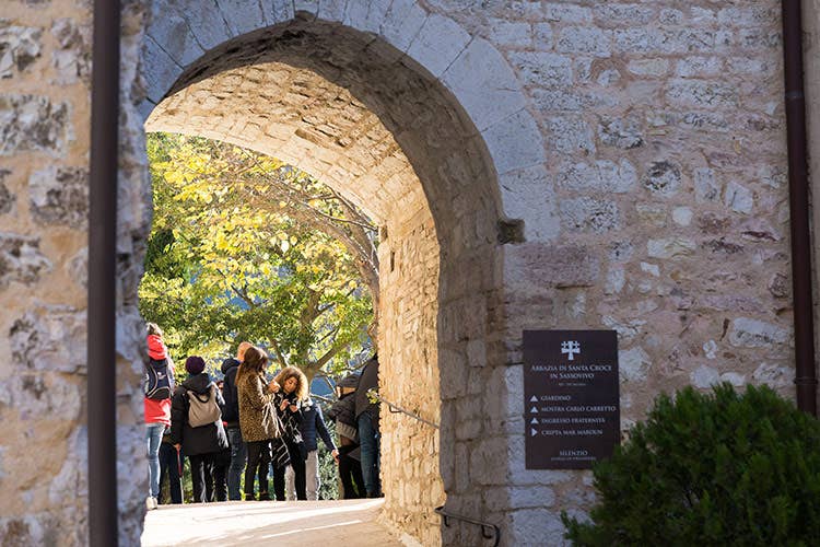 Sarà possibile accedere ad antiche ville, abbazie tra gli olivi e piccole chiese abbandonate, di solito non visitabili - Frantoi aperti in UmbriaFesta per l’olio nuovo