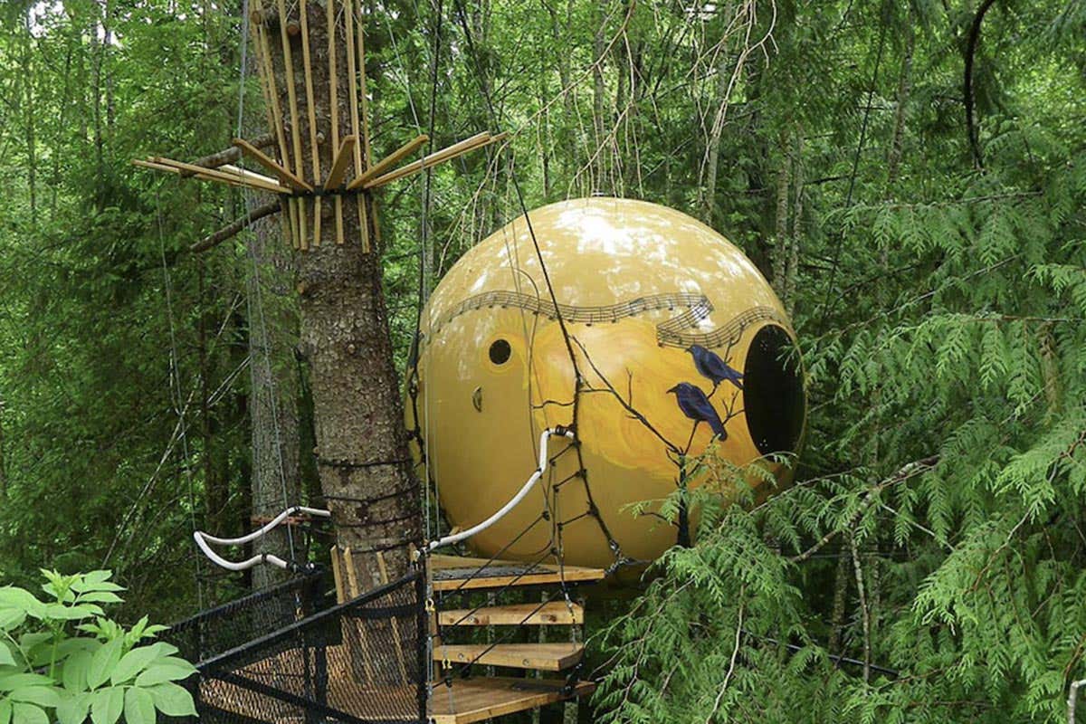 Grandi sfere del diametro di tre metri, sospese tra gli alberi della foresta pluviale Hotel futuristici e dove trovarli