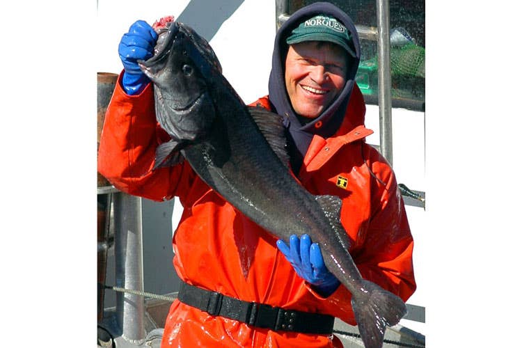 Fresco, naturale e sostenibile Dall'Alaska il salmone selvaggio