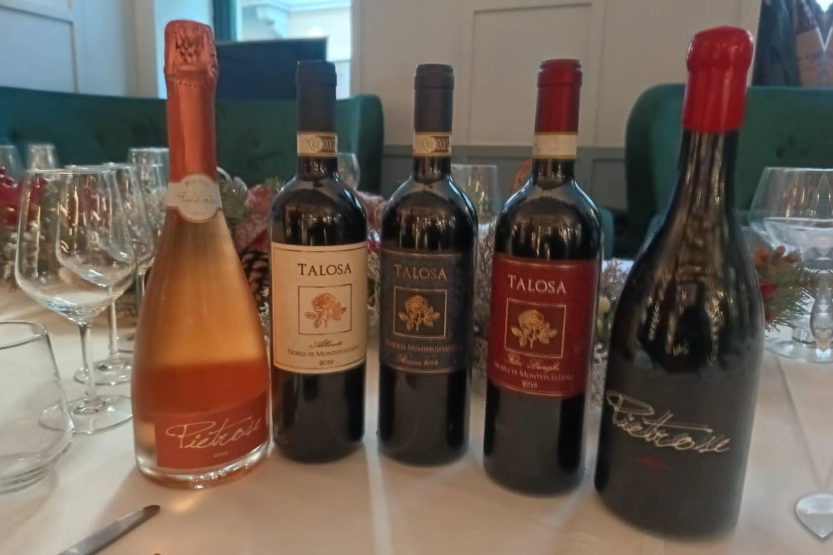 Fattoria della Talosa punta sul recupero di vigneti storici di Montepulciano