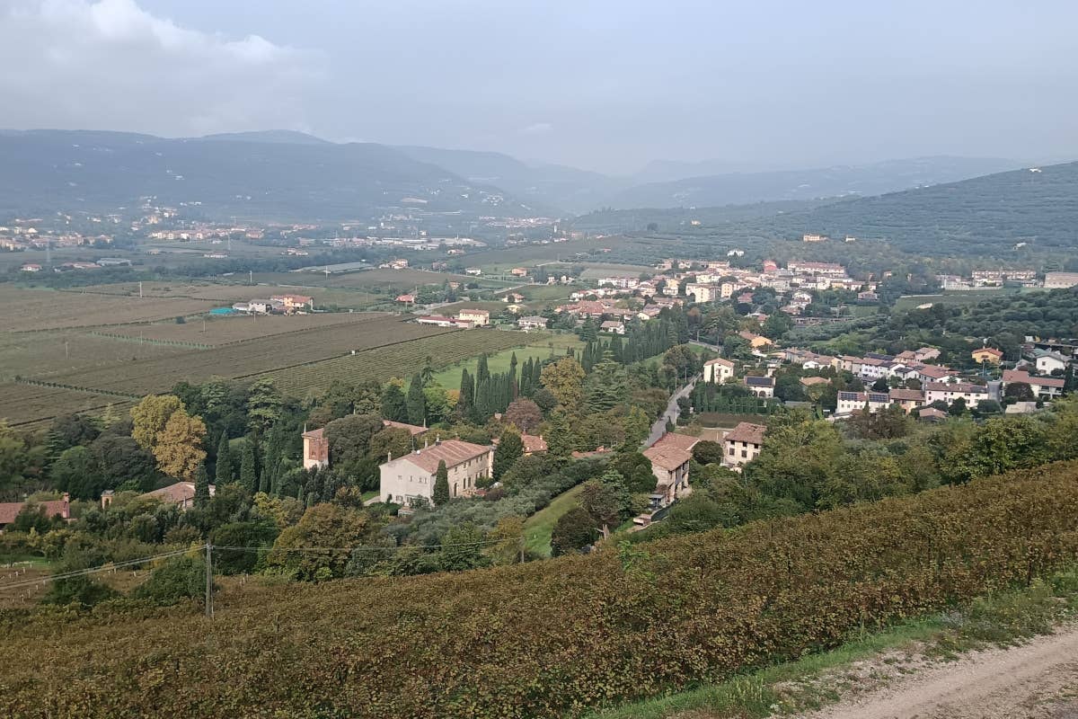 Cantina Ripa della Volta: il respiro della Valpanténa