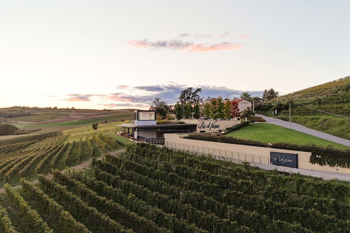 La magia del 45° parallelo: Monferrato, Napa e Borgogna parlano la stessa lingua