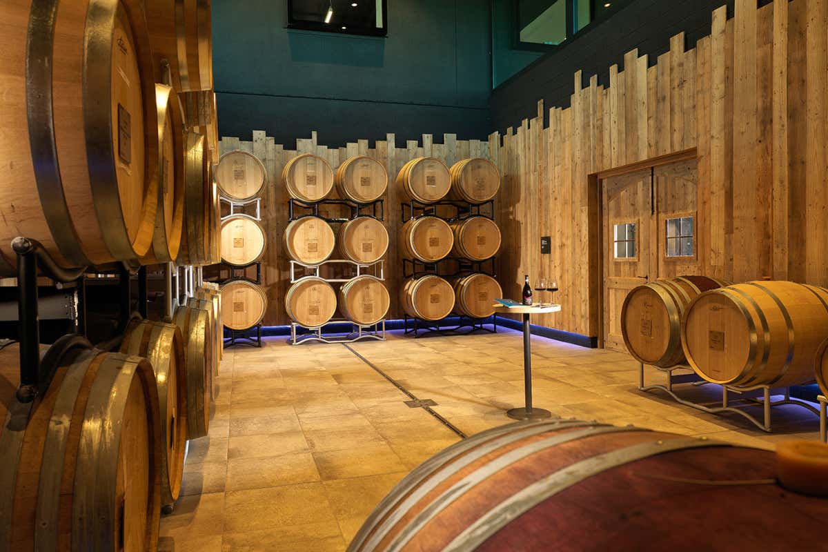 La magia del 45° parallelo: Monferrato, Napa e Borgogna parlano la stessa lingua