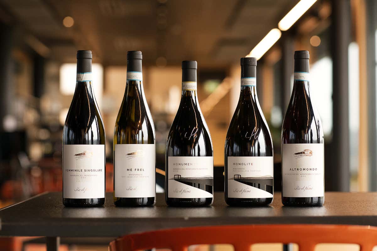 La magia del 45° parallelo: Monferrato, Napa e Borgogna parlano la stessa lingua