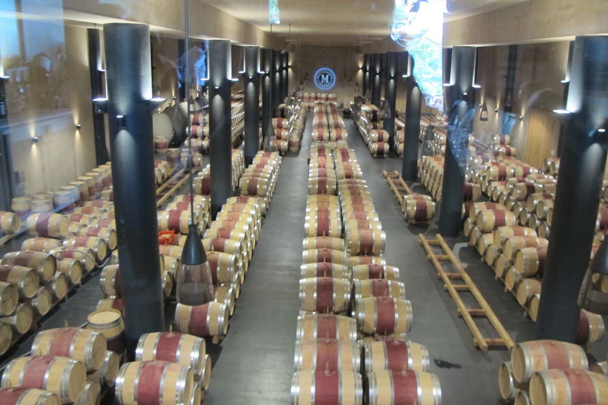 Monteverro, i vini della Costa d’Argento e la nuova anima artistica della Maremma