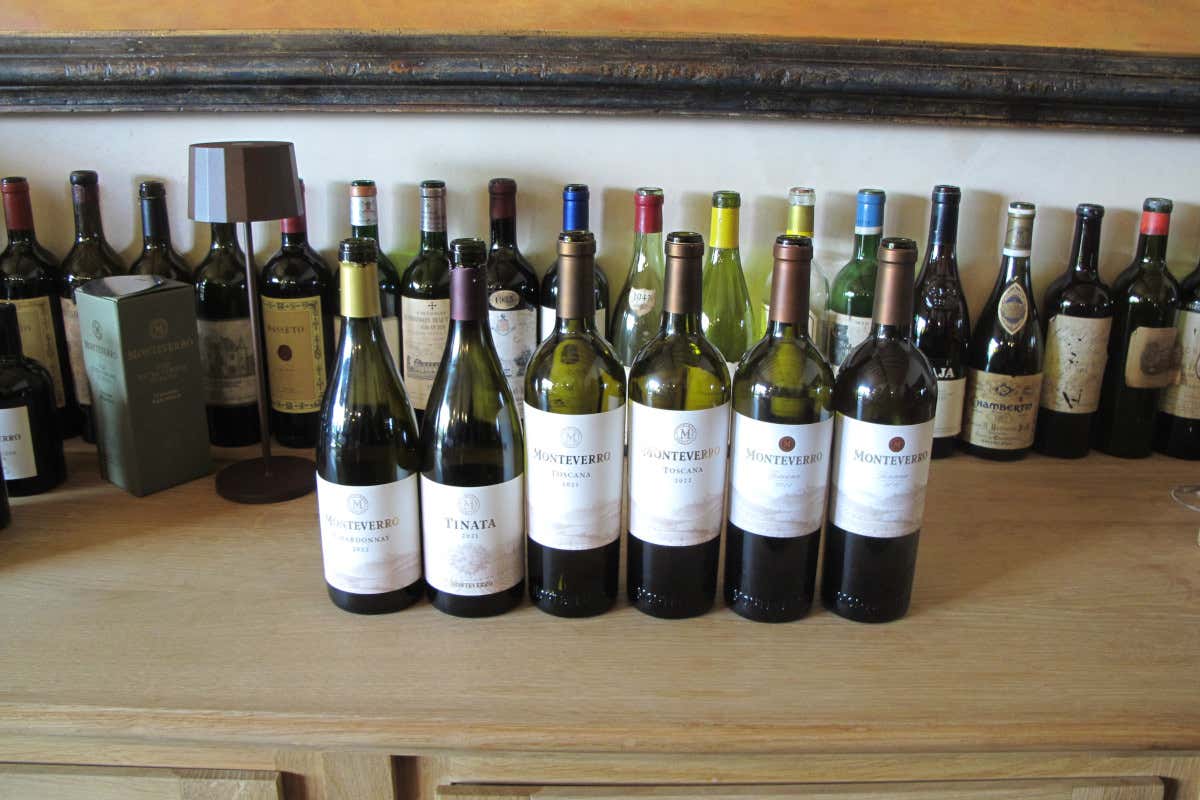 Monteverro, i vini della Costa d’Argento e la nuova anima artistica della Maremma