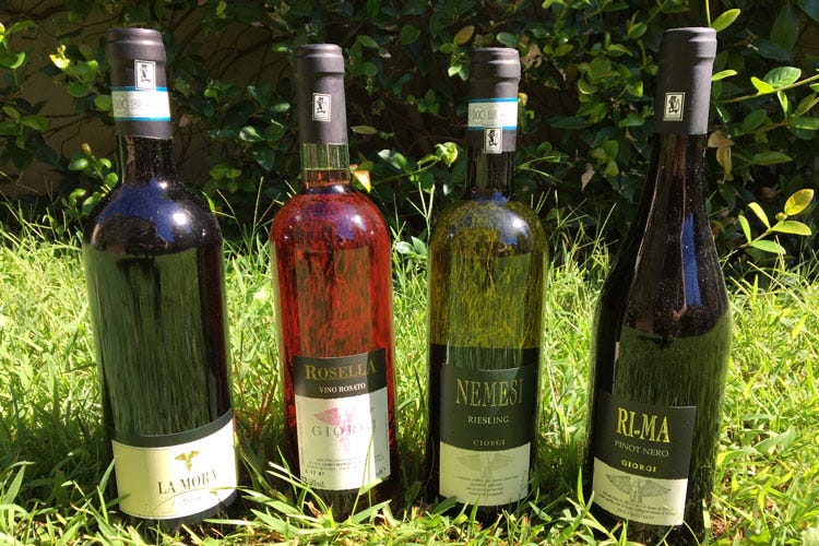 I vini in degustazione - Cent'anni di vino in Oltrepò Pavese Il futuro di Giorgi nell'innovazione