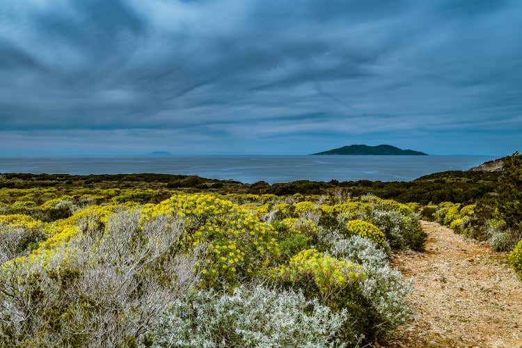 Arcipelago toscano tutto da scoprire e vivere Arcipelago toscano tutto da scoprire e vivere