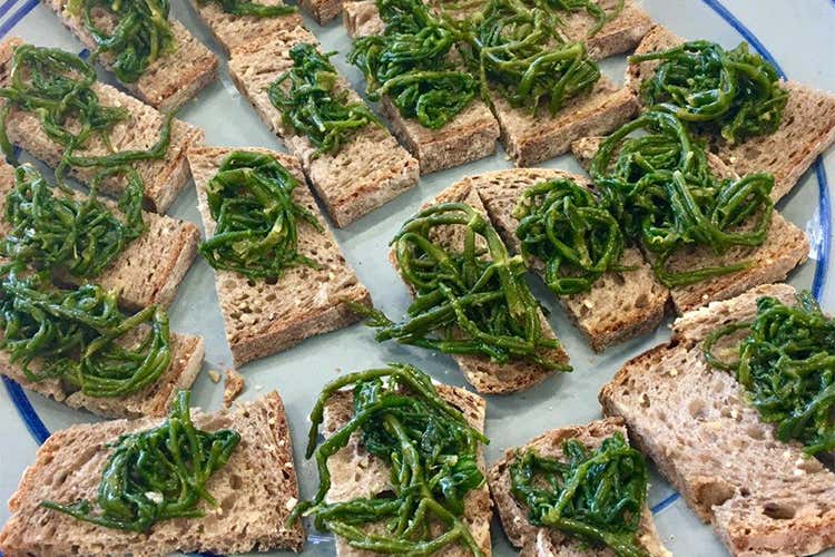 Grani Futuri, il pane nel Garganico Due giorni di musica e street food