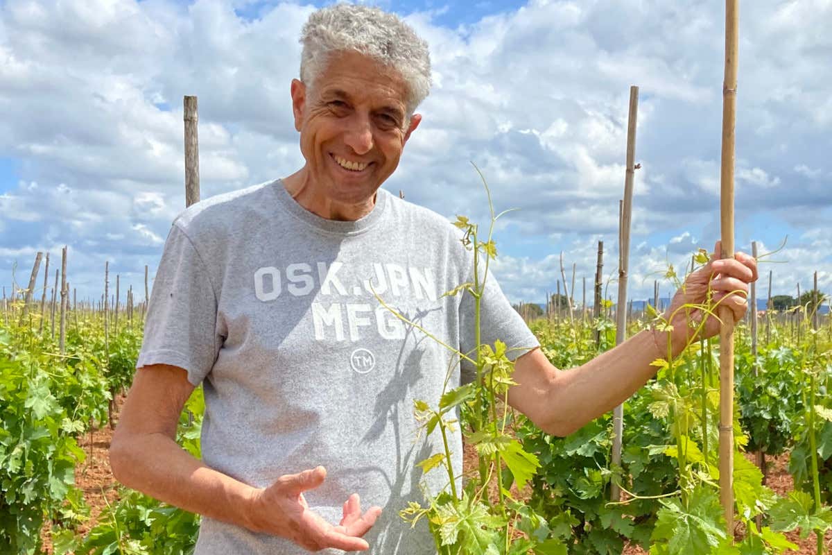 Guglielmo Manenti nuovo presidente Consorzio del Cerasuolo di Vittoria
