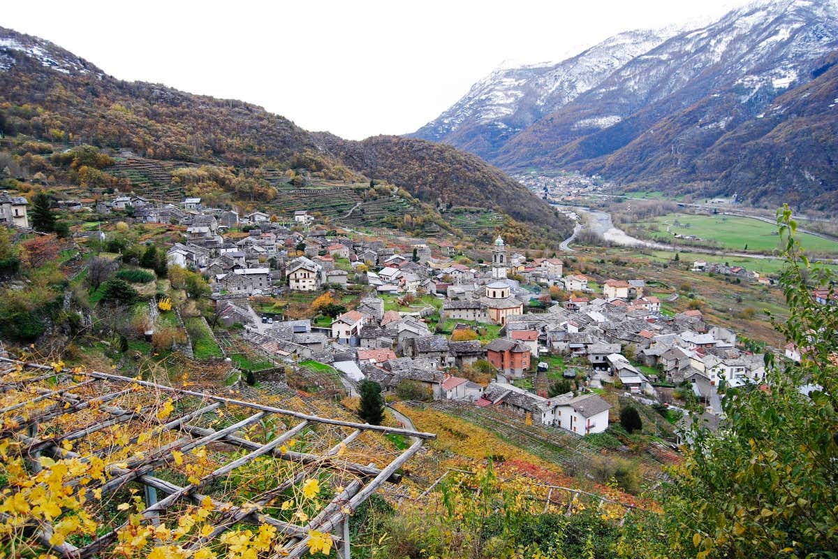 Tra Piemonte e Valle d’Aosta sopravvive una delle viticolture più estreme d’Italia