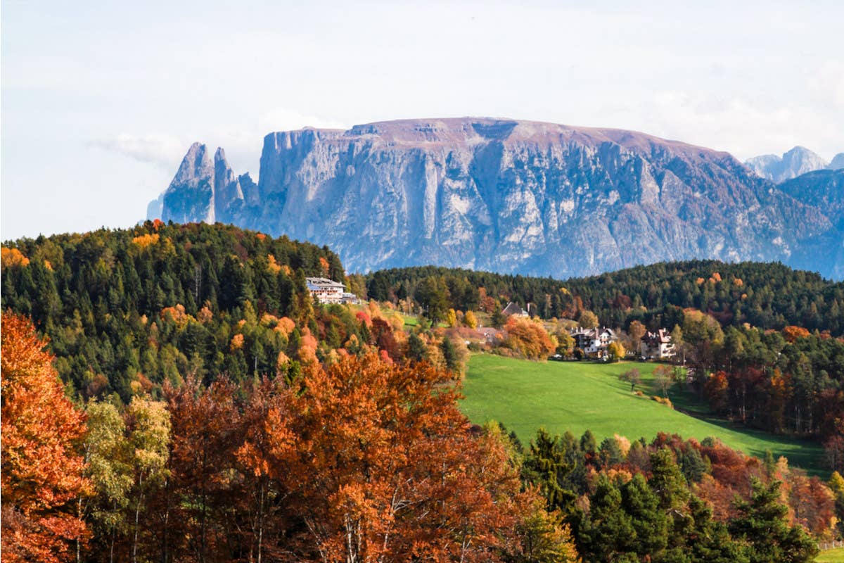 Calpesta l’autunno: il Renon ti chiama a piedi nudi tra foliage e Törggelen