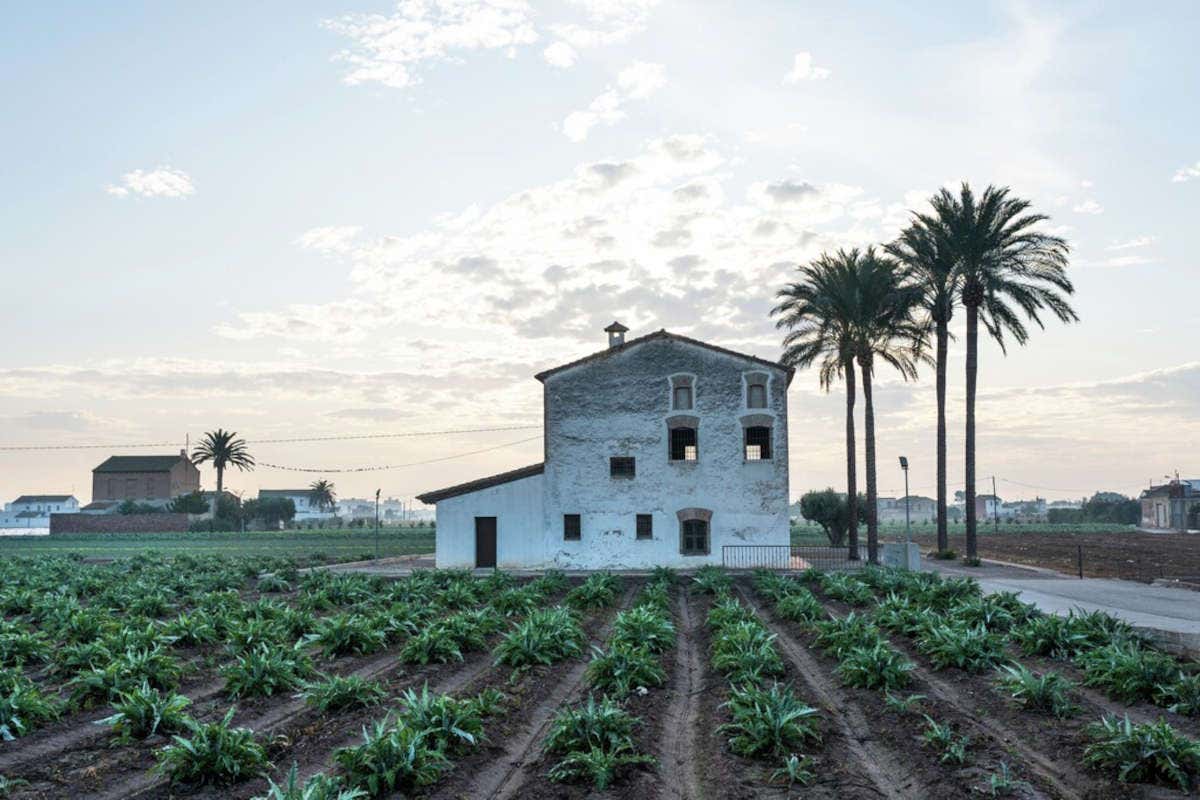 Valencia: cosa vedere e come muoversi nella Capitale Verde Europea 2024