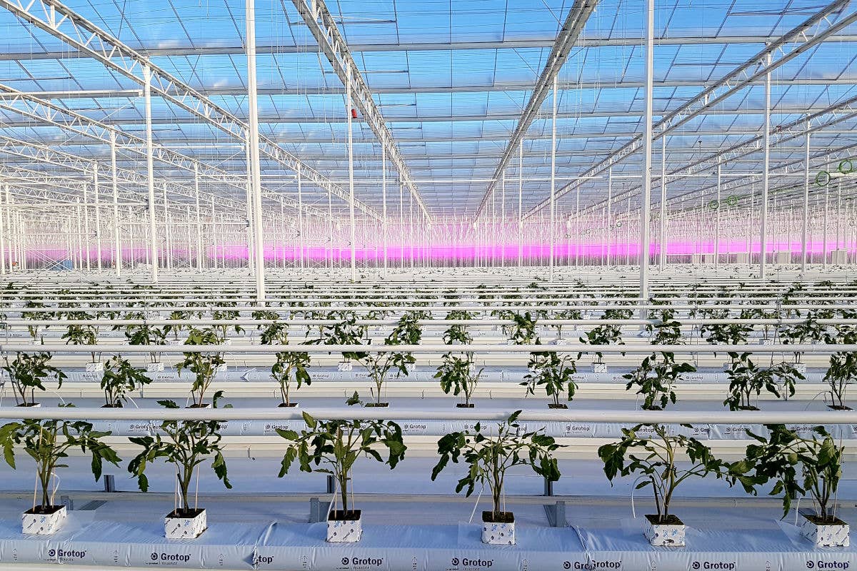 Fri-El Green House: una produzione agricola 100% sostenibile