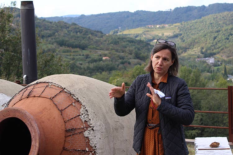 Meteja Gravner - I magnifici sette della Ribolla gialla Viaggio nelle cantine di Oslavia