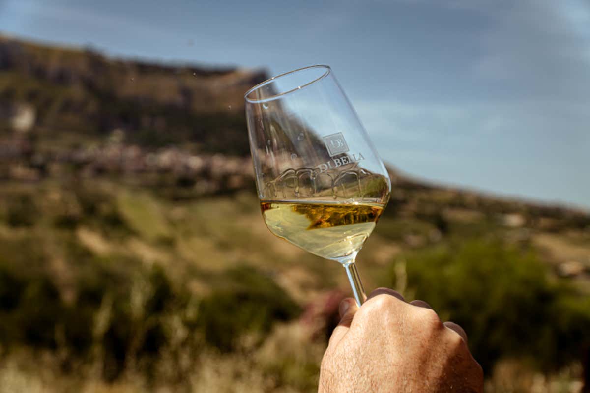 Catarratto tra storia e futuro: la Sicilia riscopre il suo vitigno simbolo Catarratto tra storia e futuro: la Sicilia riscopre il suo vitigno simbolo