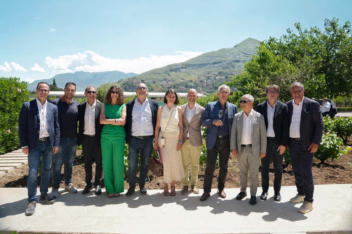 Catarratto tra storia e futuro: la Sicilia riscopre il suo vitigno simbolo Catarratto tra storia e futuro: la Sicilia riscopre il suo vitigno simbolo