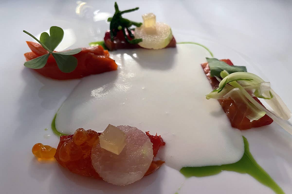 Salmone Sockeye in ceviche di cocco allo zenzero e mela verde Da “Lino” a Pavia la cucina punta su stile e ricerca