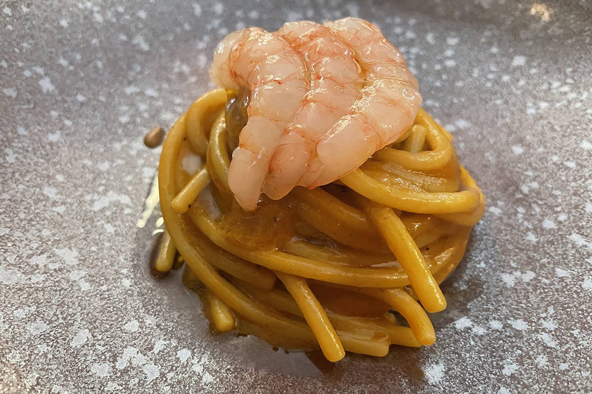 Spaghettone trafilato al bronzo con intingolo al caciucco Da “Lino” a Pavia la cucina punta su stile e ricerca