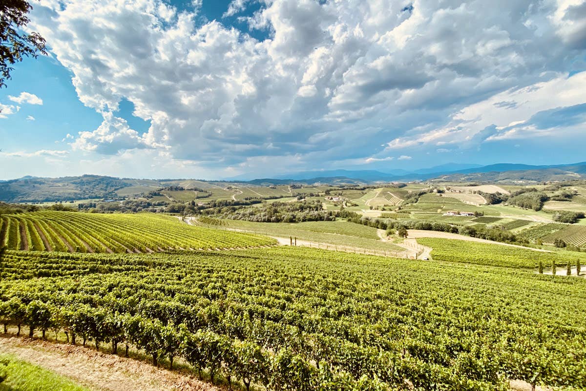 Braide Alte 2020 è tra i primi 4 migliori vini bianchi d’Italia, secondo Gentleman Milano Finanza Livon tra vini d'eccellenza e progetti futuri