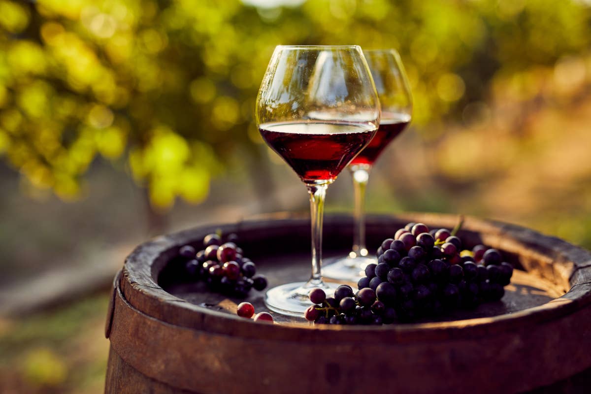 Nasce FINE WineTourism Marketplace Italy: il primo salone italiano dell’enoturismo