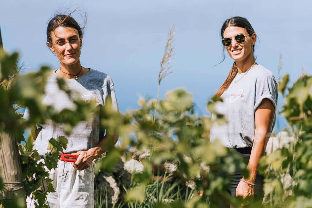 Identità, benessere e racconto: l'enoturismo secondo Casa D'Ambra