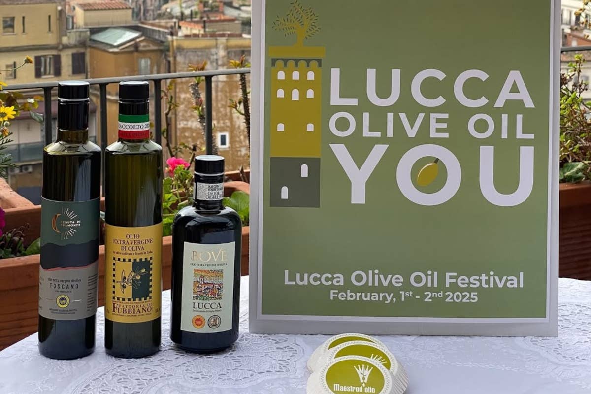 A Lucca arriva il festival internazionale sull'olio evo