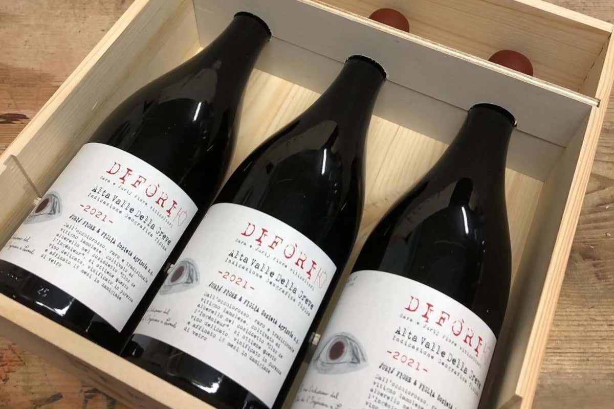 Jurij Fiore e l’identità di Lamole: una lettura autentica del Chianti Classico