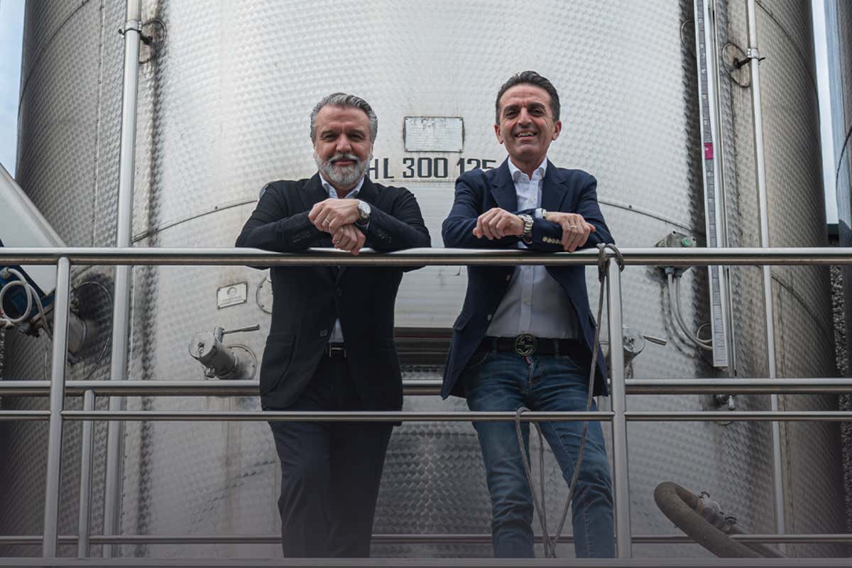 Crisi Terre d’Oltrepò: Collis rinuncia, Losito e Guarini rilancia