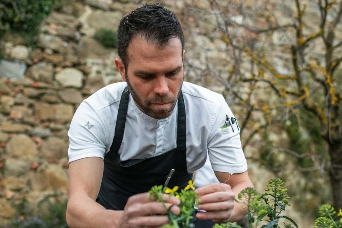 Il bosco nel piatto: come i grandi chef trasformano i funghi in arte Il bosco nel piatto: come i grandi chef trasformano i funghi in arte