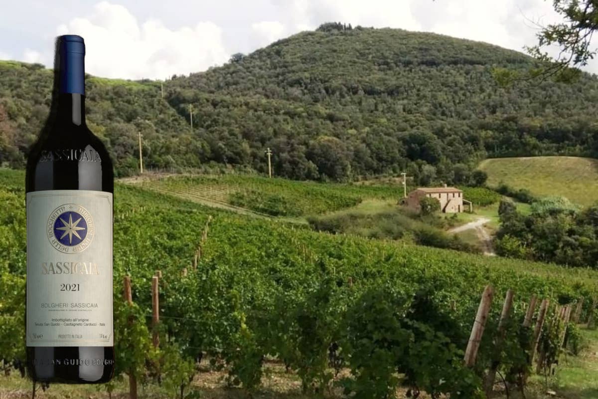 Guida Vitae 2025 di Ais: un viaggio tra i vini della Toscana