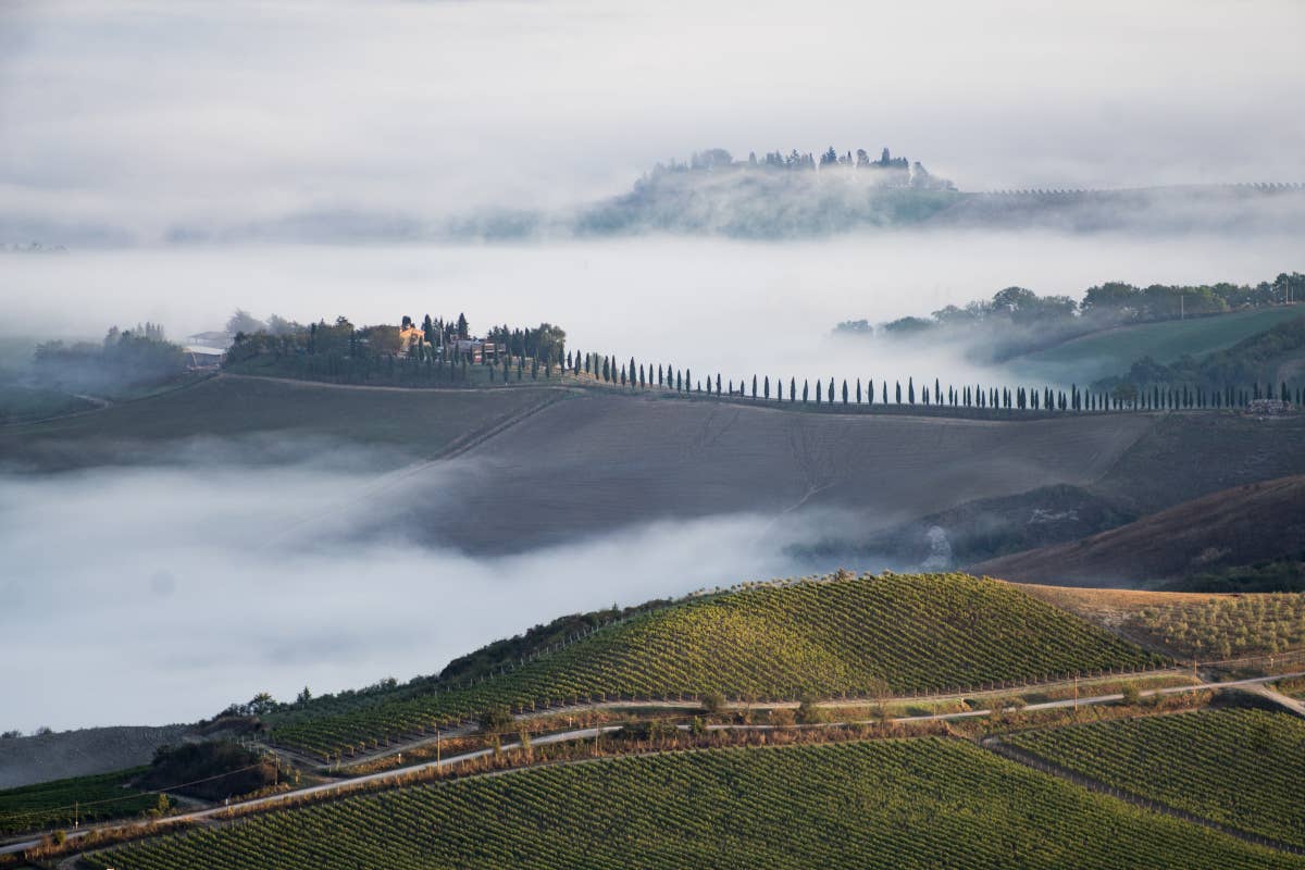 Brunello di Montalcino, il principe dei vini rossi italiani luxury negli Usa