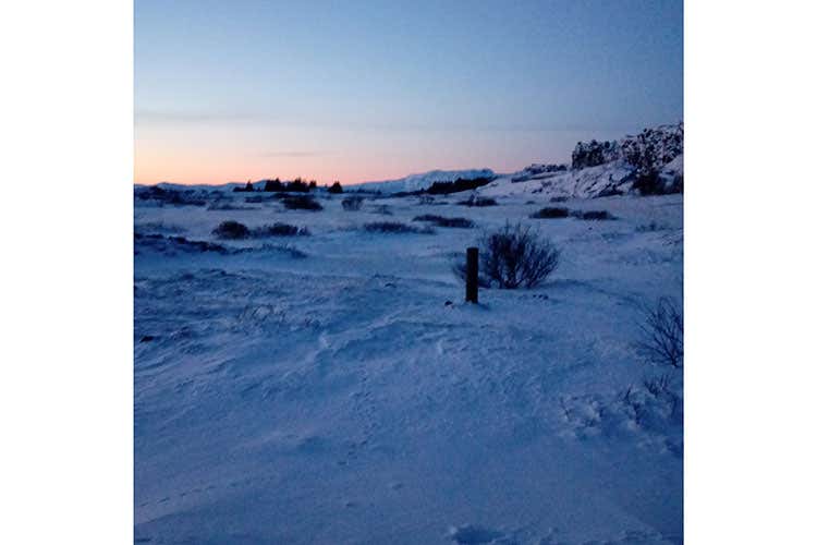 (Islanda, un bell'esempio di agricoltura Pomodori dal sapore forte  e robusto)