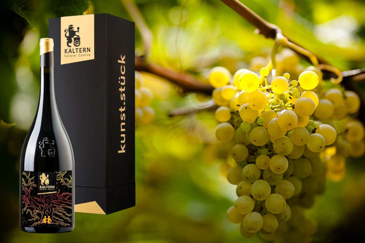 Cantina Kaltern: celebra 125 anni con il Kunst.stück Vernatsch 2023 