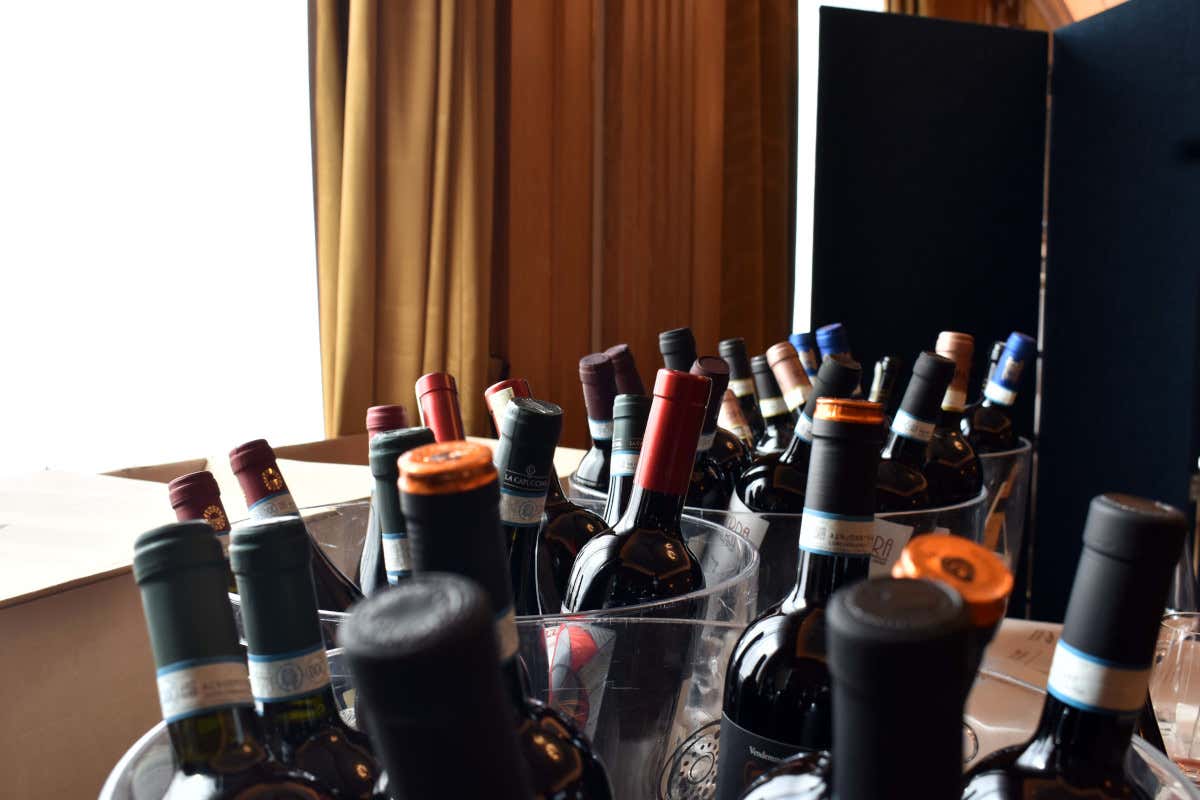 Nebbiolo e sorprese autoctone: viaggio tra i vini dell’Alto Piemonte