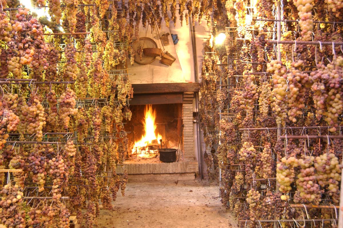 Capitale della Cultura... a tavola: a Sant'Angelo in Vado, fra storia e tartufo