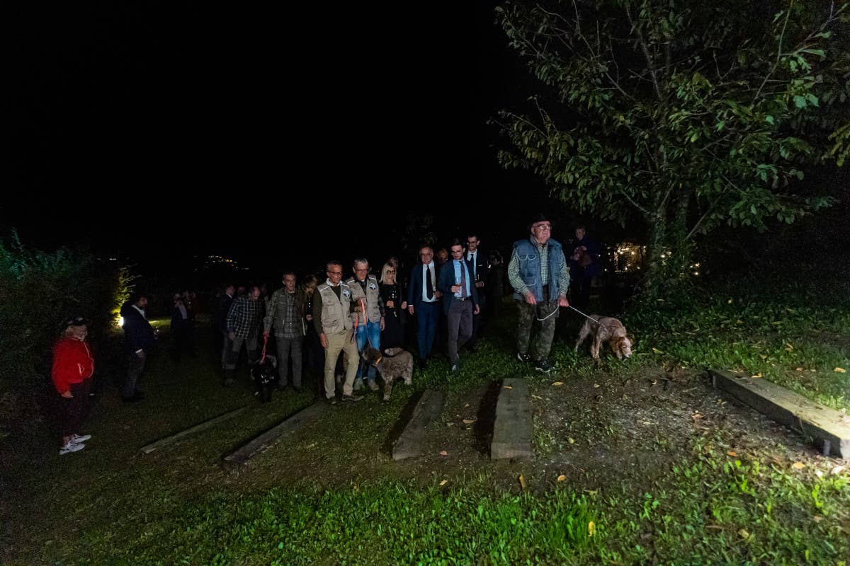 Tartufo bianco d'Alba: celebrato il Capodanno della raccolta posticipata